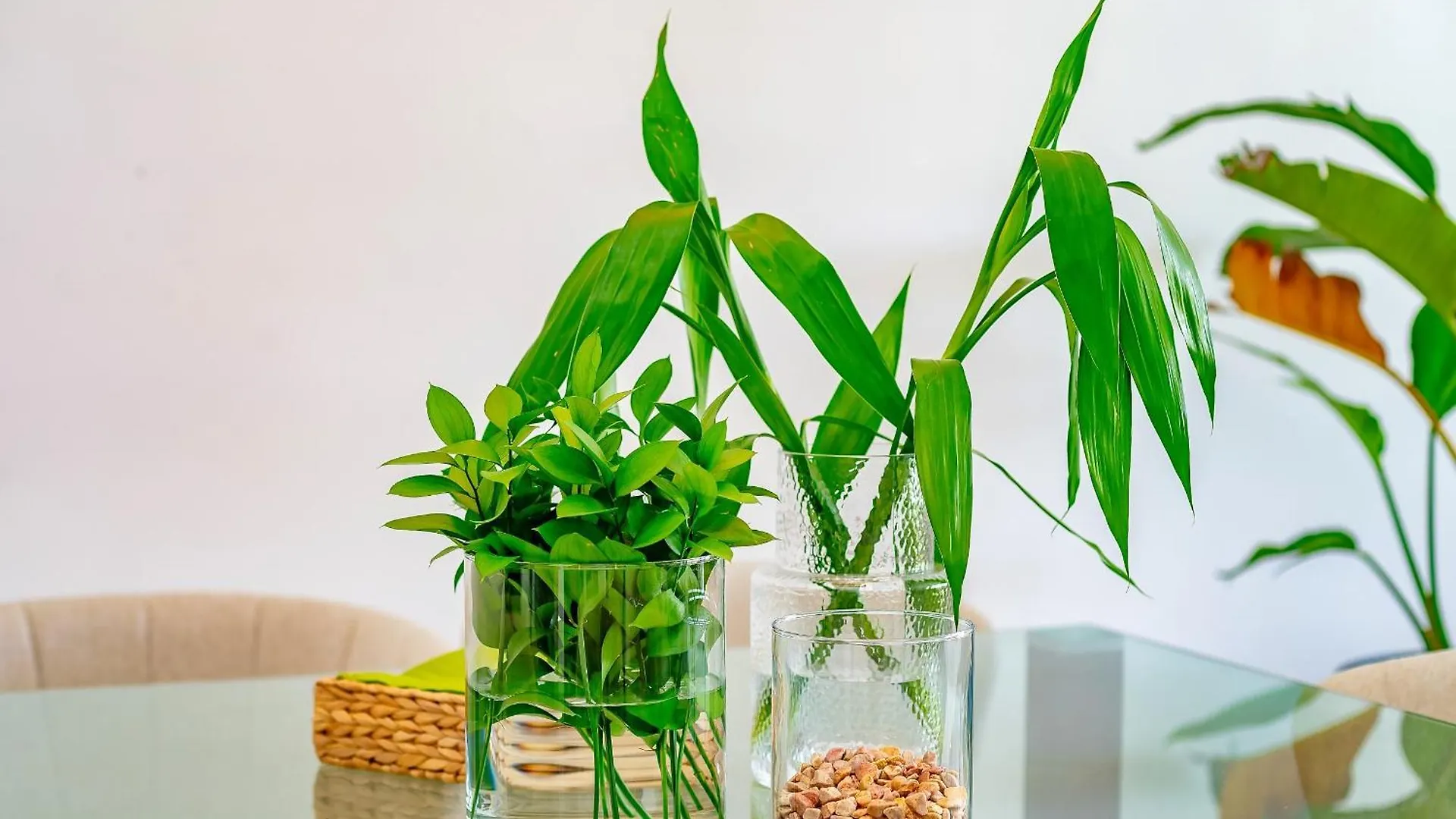 Cana Brava Residences Rental Apartment Punta Cana 0*,